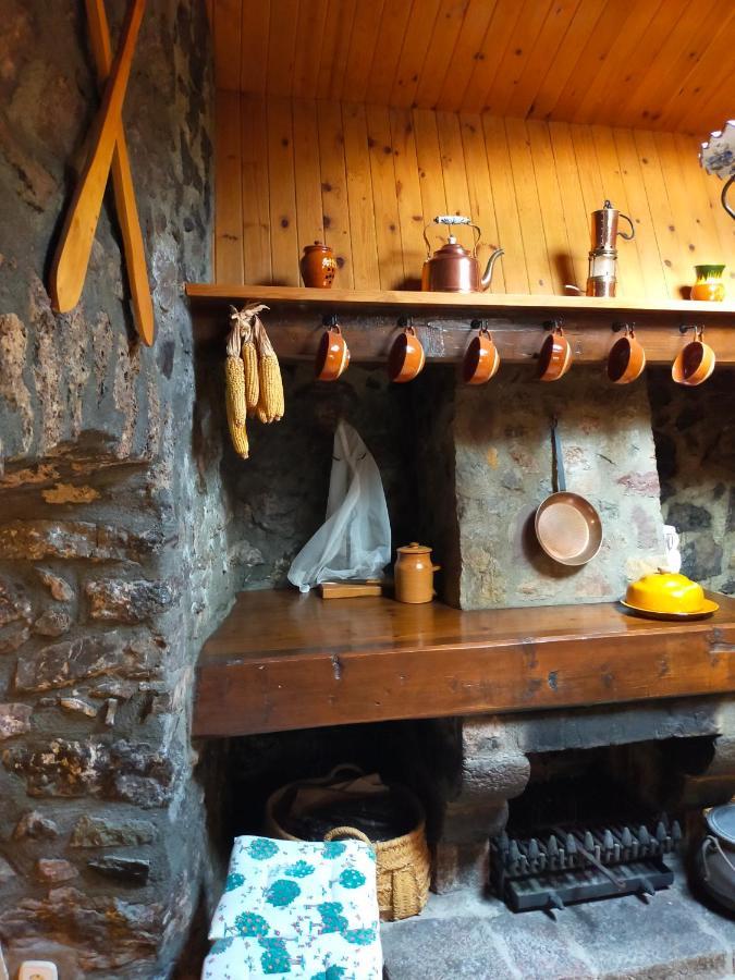 Cal Ferrer Habitatge Rural Villa Cava Bagian luar foto
