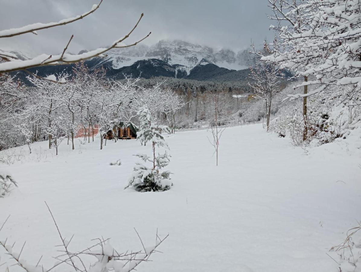 Cal Ferrer Habitatge Rural Villa Cava Bagian luar foto